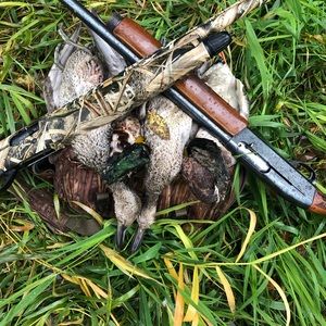 Meet your Posher, Aj